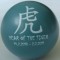 Year of the Tiger
